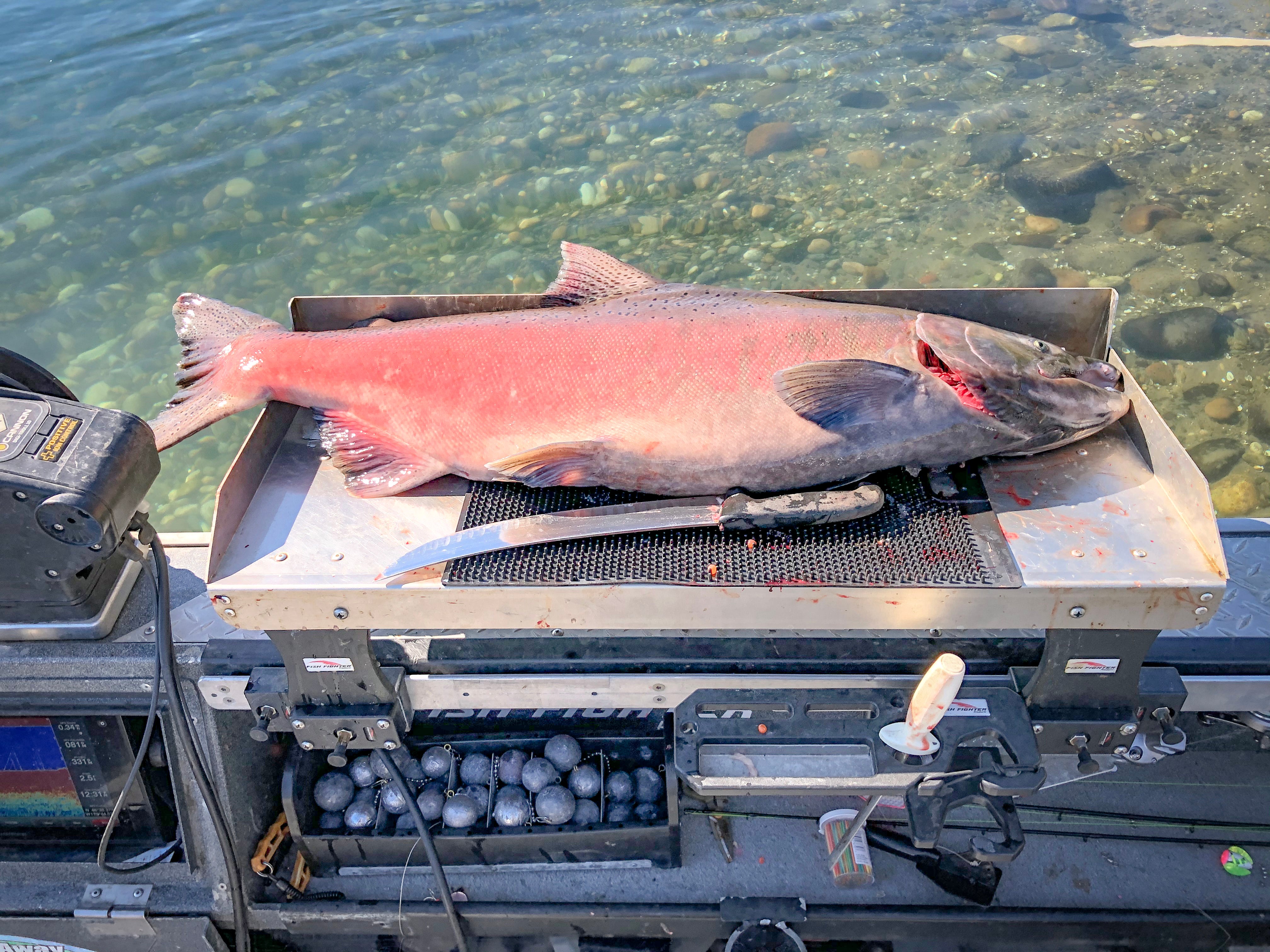 Small Fillet Table - Quick Release™ System (QRS) – Fish Fighter® Products